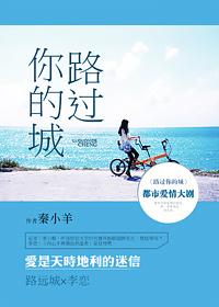 路过你的城市歌词