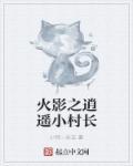 火影之村子系统