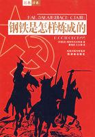 钢铁是怎样炼成的书名的含义