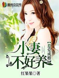 我想看惹婚成爱全文