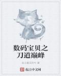 数码宝贝之极品