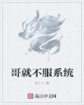 我的系统又不服了