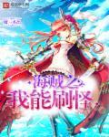 海贼之我能附加属性笔趣阁