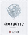 雇佣兵 mp4