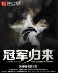 冠军归我我归你电竞by非途