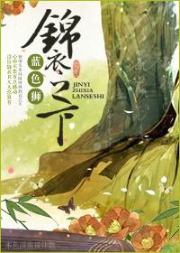 锦衣之下哪年拍的