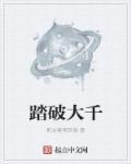 踏破大千评价