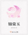 锦棠玉华txt百度