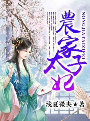 农家太子妃240集在线观看