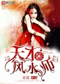 豪门重生之天才风水师百度