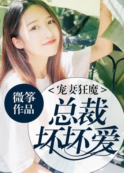 宠妻总裁坏坏了电视剧