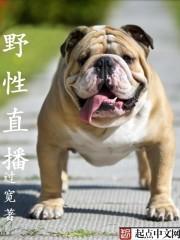 野性为王TXT下