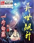 异世升级攻略