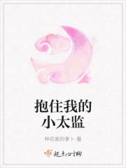 抱住我的小太监安子结局是