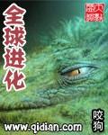 全球进化晋江