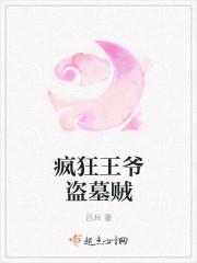 疯狂盗墓贼心得体会