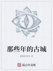 有古城的城市