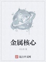 金属核心的四个功能介绍