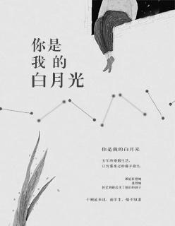 你是我的白月光我是你的避风港
