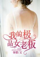 我的极品女老板简介