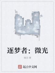 逐梦之光上线时间
