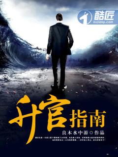 升官指南全集