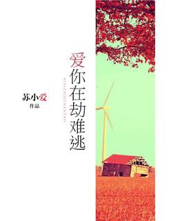 爱你在劫难逃短剧全集在线观看