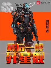 最后一艘战列巡洋舰