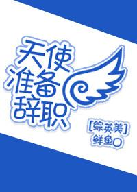 天使即将来临续集dvd