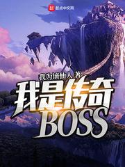 我是传奇BOSS 全本