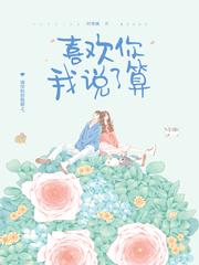 喜欢你我说了算讲什么