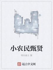 小农民 作者