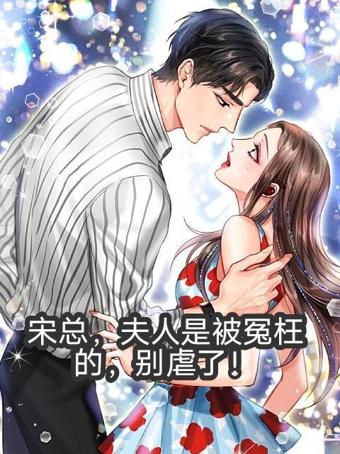 宋夫人不