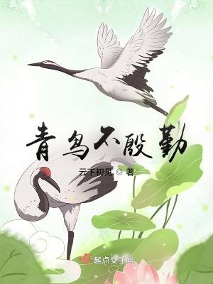 青鸟殷勤意思