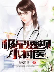 极品透视小村医独孤清风全本免费