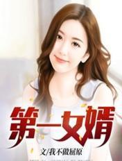 第一女婿梁军免费阅读全文