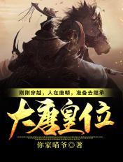 准备去继承大唐皇位笔趣阁TXT