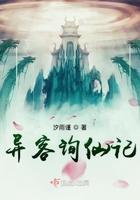 异客的意思是什么解释