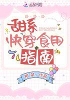 甜系快穿食用指南TXT