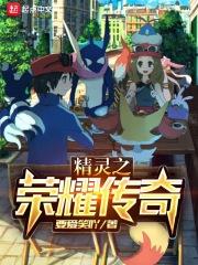 神奇宝贝精灵之荣耀冠军