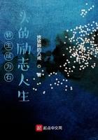 转生石板攻略