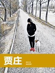 贾庄集是几号