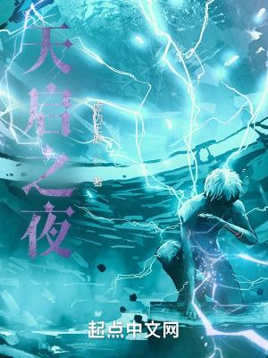 天启之夜TXT百度