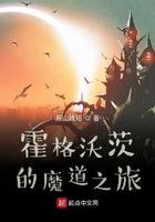 霍格沃茨的魔道之旅最新章节