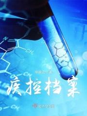 疾控档案个人工作总结述职
