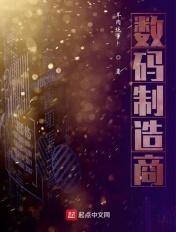 数码公司排行