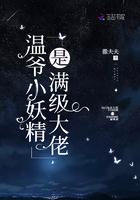 温爷小娇妻是顶级大佬