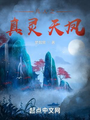 凡人之真灵天凤阅读