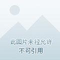 此岸又开彼岸花