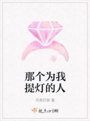 那个为我提灯的人1000字作文